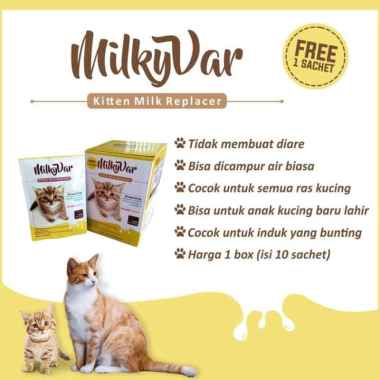 Jual Susu Anak Kucing Harga Grosir 2020 Blibli Com