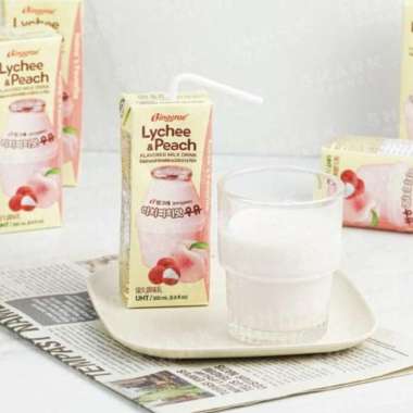 Korean Flavored Milk Banana Melon Susu pisang korea peach Binggrae ori LYCHEE PEACH