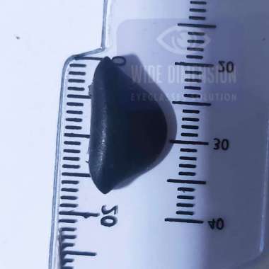 Nosepad Kacamata Oakley Model Colok Tatakan Hidung Colok Plug in Bantalan Hidung Kacamata Nosepad Ru