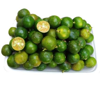 DUTA BUAH Jeruk Kietna (900g-1kg)