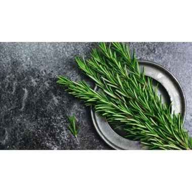 Daun Rosemary Fresh 100gr