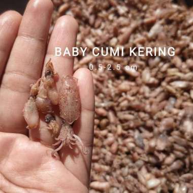 BABY CUMI MEDAN GRADE A 250 gr (cocok U/sambal) 100 gram