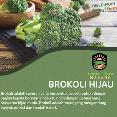 Brokoli Hijau 250 500 gr / 1 kg 1 KG
