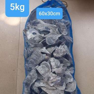 mefia filter oyster shell kulit kerang cangkang tiram 5kg