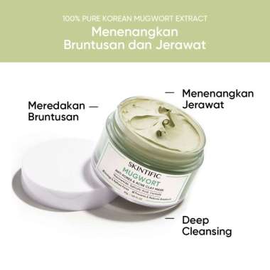 SKINTIFIC Mugwort Mask Acne Clay Mask SKINTIFIC Alaska Volcano Clay Mask Mugwort