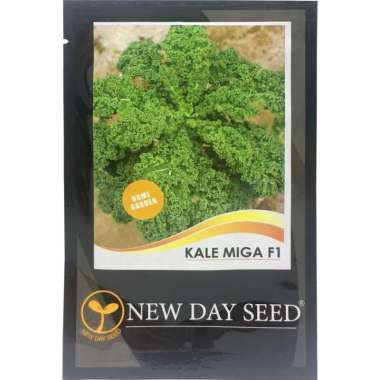 Benih New Day Seed - Kale Miga F1