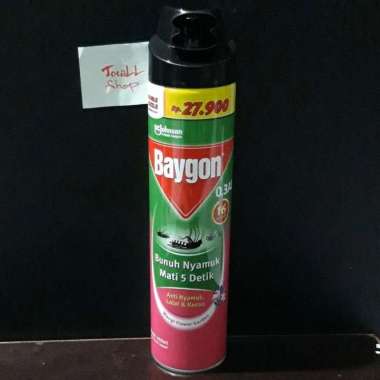 Baygon Aerosol 450ml