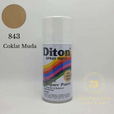 Cat Semprot Diton 300cc Semua Warna 843