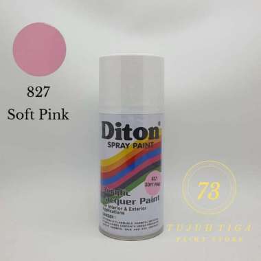 Cat Semprot Diton 300cc Semua Warna 827