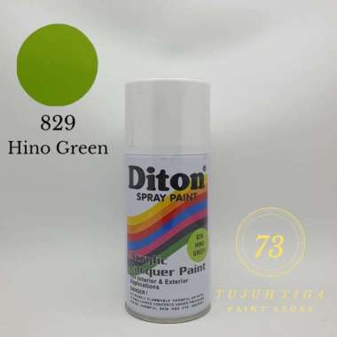 Cat Semprot Diton 300cc Semua Warna 829