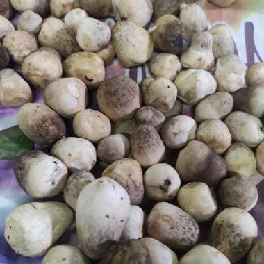 Jamur Merang Segar 1/2 kg