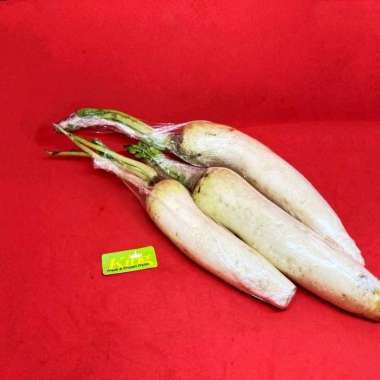 Sayur lobak putih, lobak putih, sayur lobak