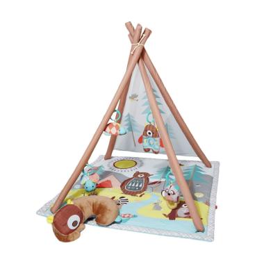 skip hop baby gym