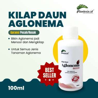 Kilap daun leafshine kilap daun 100 ml aglonema organik -