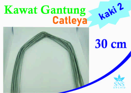 Kawat Gantung kaki 2 30 cm Pot Gantung Anggrek Catleya Dendro Bunga Bibit Dewasa