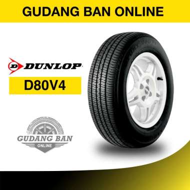 Ban 205/65 R15 Dunlop D80V4