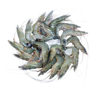 Udang Pancet / Udang Tiger Segar Ukuran Besar [500 g]