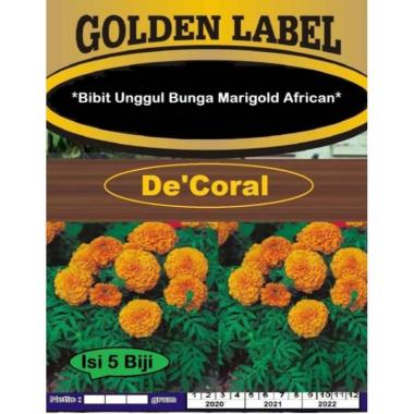 Bibit Unggul Bunga Marigold African |Benih Bunga Marigold African