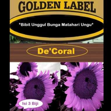 Bibit Unggul Bunga Matahari Ungu | Benih Bunga Matahari Ungu