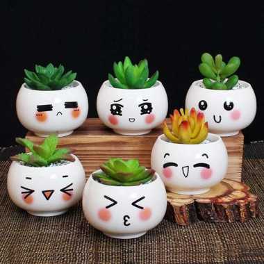 Paket Pot Lukis Emoticon Emot Ematikon Ematicon Emotikon Ukuran 10 cm Tanaman Kaktus Cactus Sukulen 