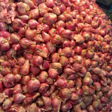 Pasar 2021 harga merah sukomoro bawang di nganjuk hari ini INFO :