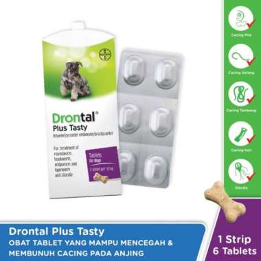 drontal flavor plus