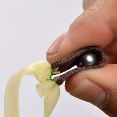 Karet Ketapel Flatband