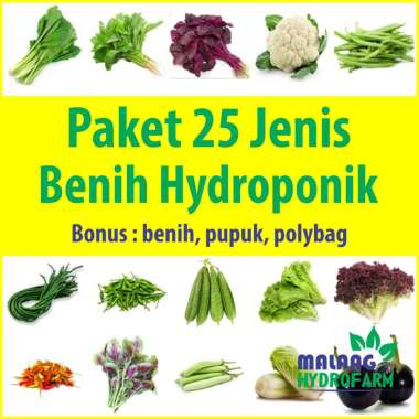 Paket 25 Jenis Benih Hydroponik sayur sayuran buah hidroponik starter kit biji bibit tanaman tumbuha