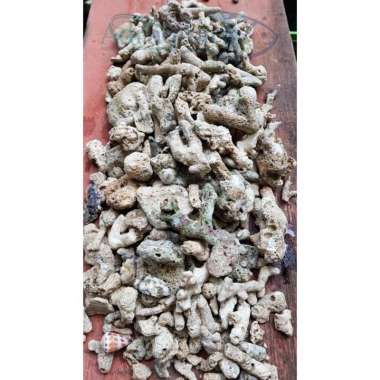 BATU KARANG JAHE BESAR 2KG MEDIA FILTER HIASAN AQUARIUM AQUASCAPE