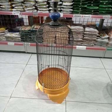 kandang kapsul lovebird kecil sankar burung Kuning