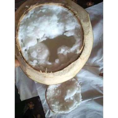 Kelapa kopyor botak size S siap saji