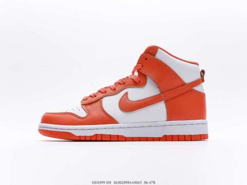 syracuse nike dunk high
