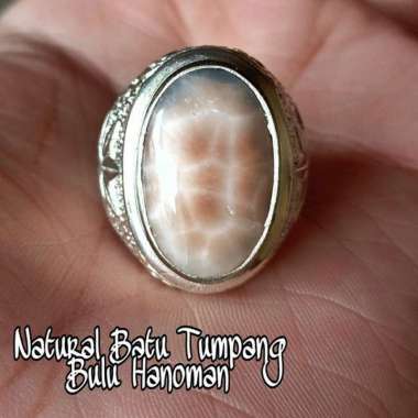 NATURAL CINCIN BATU AKIK BULU HANOMAN - BATU TUMPANG NUSAKAMBANGAN NATURAL THOMSONITE RING 11
