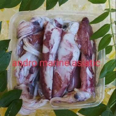 cumi-cumi frozen @1000gr