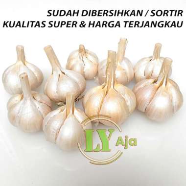 LY Aja Kualitas Super Bawang Putih Kating Bonggol [1 Kg]