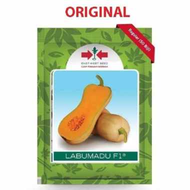 Benih Labu Madu Cap Panah Merah [50 Butir] Banyumas