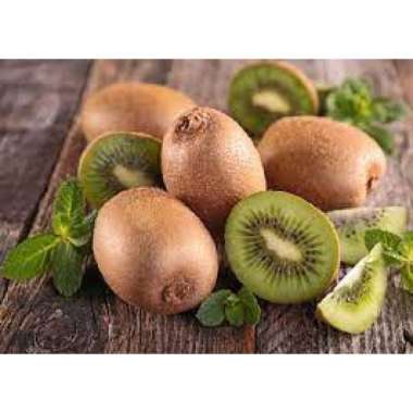 Bibit Tanaman Buah Kiwi Golden Import - bibit buah kiwi