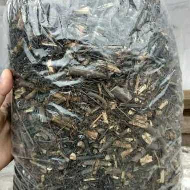Media tanam pupuk pakis andam - potongan akar pakis 250 gram