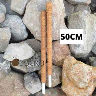 TURUS PIPA 50CM SABUT KELAPA / PENYANGGA TANAMAN / RAMBATAN SIRIH UNIK