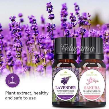 Aromatherapy Oil Essential Oil Minyak Diffuser Esensial - Lavender