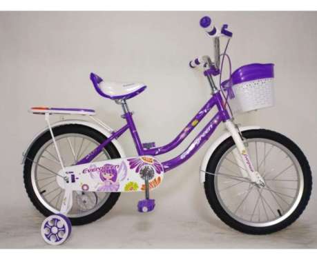 Sepeda Anak Perempuan Evergreen 18