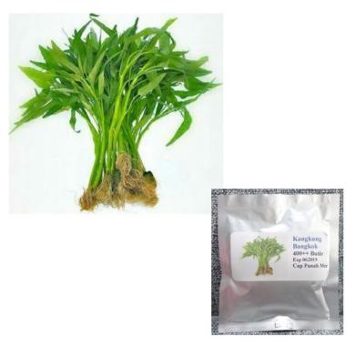 Jual Bibit Kangkung Murah Harga Promo Blibli