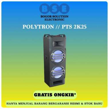 POLYTRON Trolley Speaker + 2 Mic PTS 2K25 Speaker | PTS2K25 | PTS-2K25