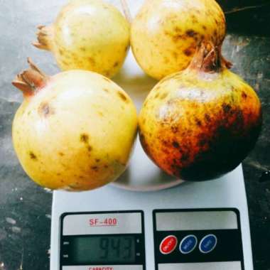 Buah Delima Putih 1kg