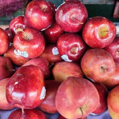 Buah Apel Washington 1 KG