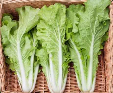 Sayur Sawi Keriting Segar 1 KG