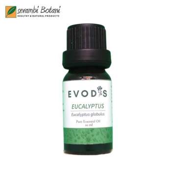 Serambi Botani - Essential Oil & Aromatheraphy Evodis Eucalyptus