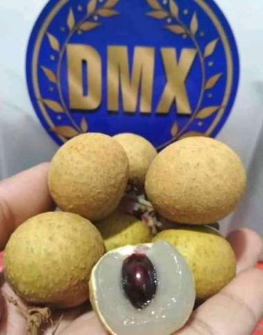 buah kelengkeng 1 keranjang 10kg / kelengkeng 1 krat BLUE reguler