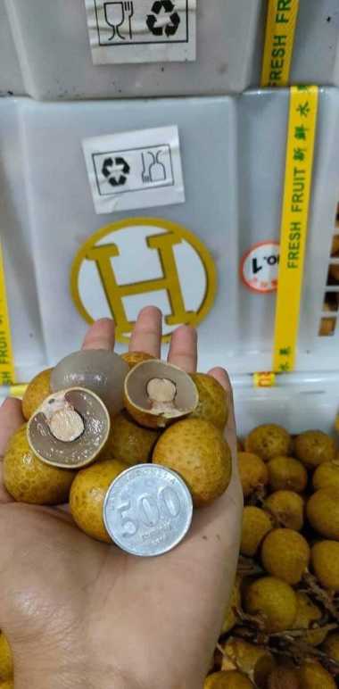 buah kelengkeng 1 keranjang 10kg / kelengkeng 1 krat GOLD PREMIUM