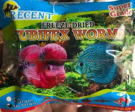 A1W Tubifex Worms Cacing Kering 5gr Makanan Ikan Aquarium Cacing 10 Gram